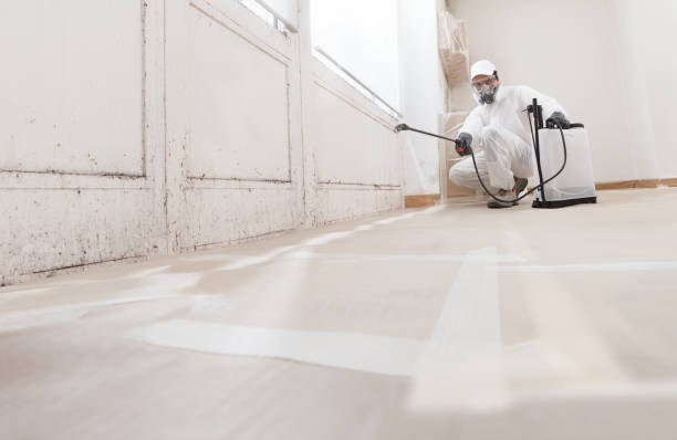 24/7 Emergency Mold Remediation experts in Alexandria, VA