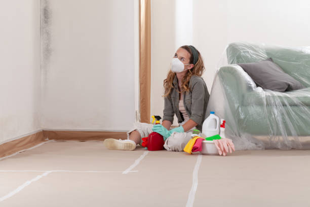Reliable Mold Remediation contractor in Alexandria, VA by 24 Hour Mold Removal